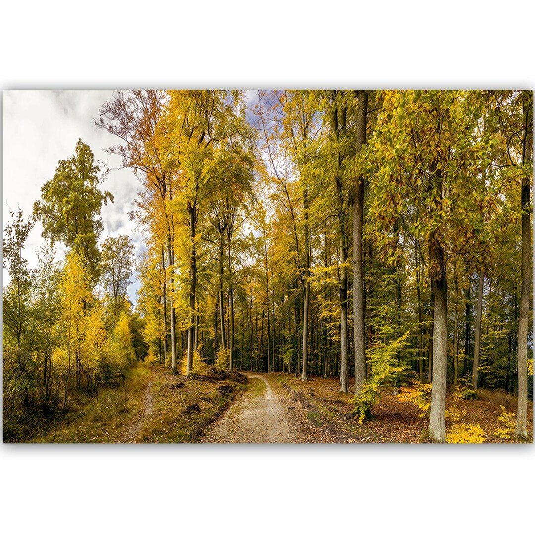 Leinwandbild Herbstliche Bäume