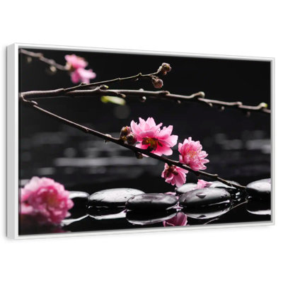 Cerisier en fleurs