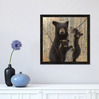 Mama Black Bear, Square 1 Piece Floater Frame Wall Art on Canvas