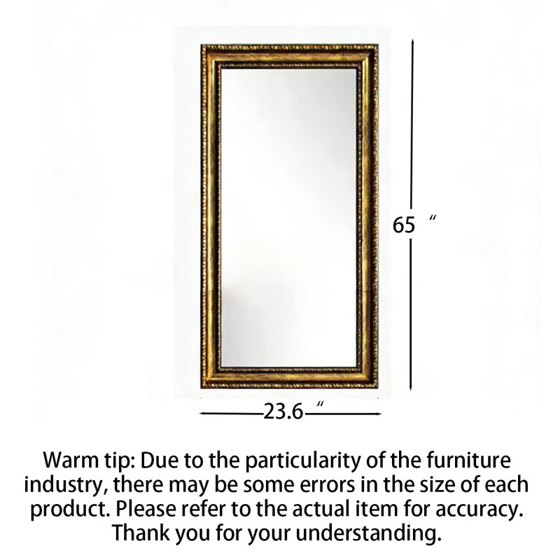 Miroir pleine grandeur or rétro, 64.96" H x 23.62" W