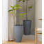 Ensemble de 2 pots à fleurs hauts et ronds-848505875-878031881