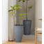 Ensemble de 2 pots à fleurs hauts et ronds-878031990-878031881