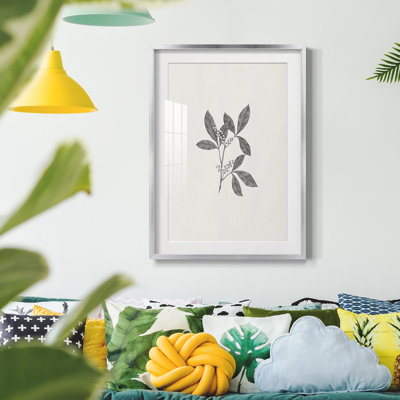 Vintage Sketch XCVIII -Framed Print