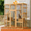 Cat House-1595774777