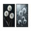 Élégant ensemble de 2 pièces de pissenlit monochrome noir et blanc I-44408201-44408222-44408193