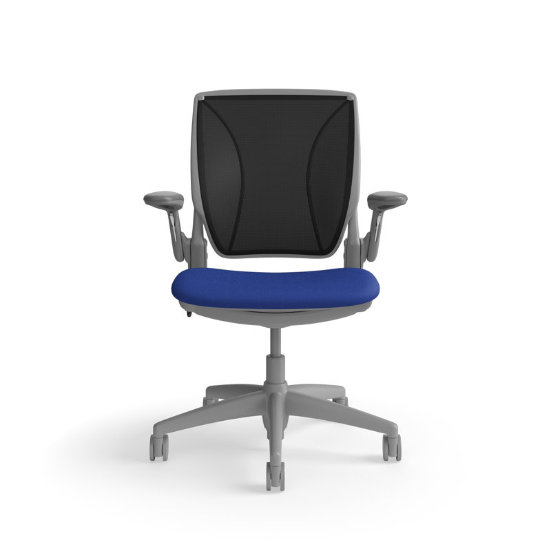 Fauteuil de travail ergonomique avec dossier Caraway World ML et siège rembourré Corde 4, Noir / bleu ciel, Gris