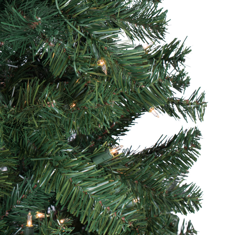 Salem 8.5' H Lighted Artificial Pine Christmas Tree