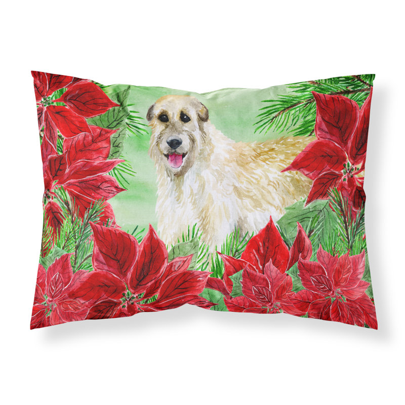 Microfiber, Irish Wolfhound