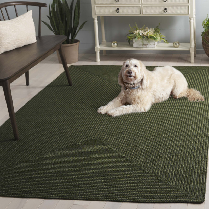 Tapis performance de couleur unie tressé à la main et lavable à la machine Garbrand, Rectangle 6 pi x 9 pi