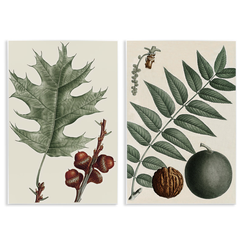 Ensemble de plaques murales «Tree Leaves & Nuts» par Graffi *ee Studios, H 15 po x l 10 po