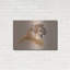 "Cougar" par Barbara Keith-619406534