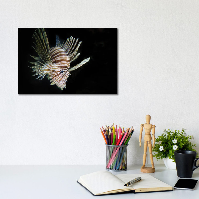 In The Dark by David Gardiner - Print on Canvas, Wrapped Canvas, 20.32 cm H x 30.48 cm W