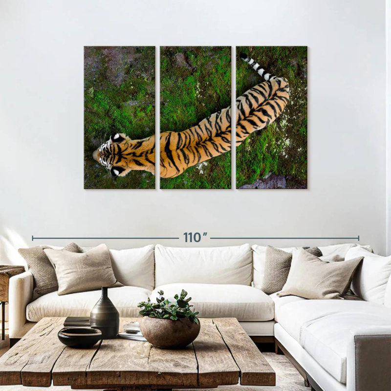 Brampt Tiger From Above, 48" H x 74" W