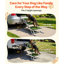 Escalier pliable en aluminium à 4 niveaux pour animaux de compagnie, rampe d'accès robuste et portable pour chiens avec surface antidérapante en gazon artificiel et rampes latérales pour lits hauts, voitures, VUS et camions