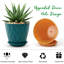 Paquet de 5 pots à plantes de 6 pouces-762357981