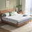 Alwyn Home  10”  Queen  Cool Basic Memory Foam Mattress (New), Fiberglass-Free, Medium-Touch, Cool Airflow Memory Foam, Safe And Comfortable, Mattress In A Box-2114465886-2134092563