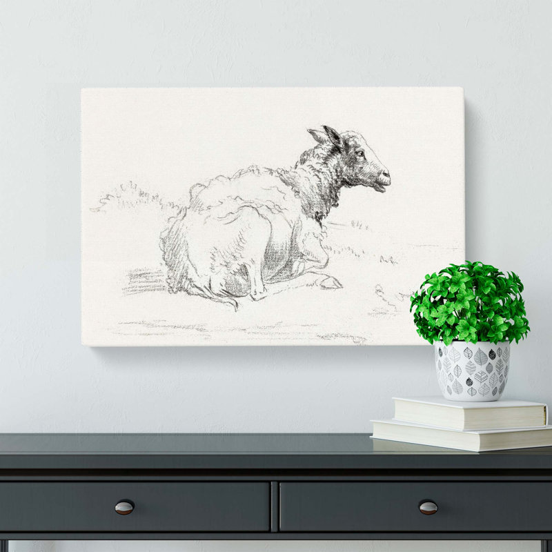 A Lying Sheep by Jean Bernard - Wrapped Canvas Print, 50cm H x 76cm W x 3cm D