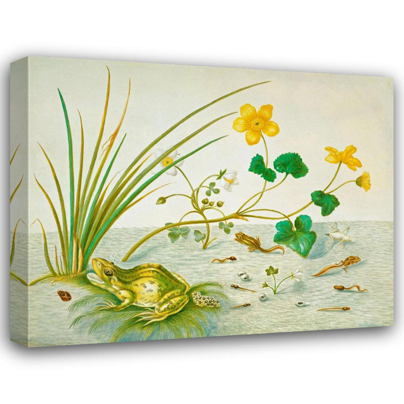 Frogs, 14" H x 18" W