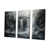 Toile tendue