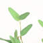 36 "branche d'eucalyptus artificiel pour remplissage de vase, long bouquet de verdure à feuillage de campagne pour décoration de table de centre de table de bureau à domicile
