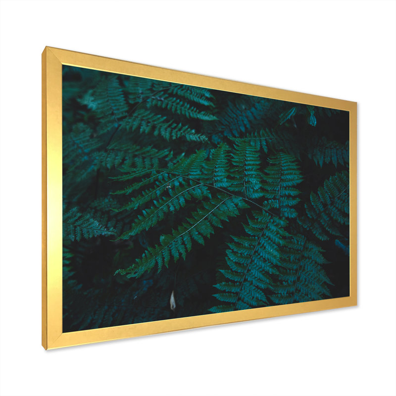 Brownies vert foncé - photographie sur toile, H 16 po x l 32 po, Cadre doré à coins fermés