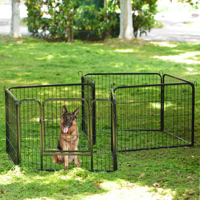 Virgie 60 cm H Metal Exercise Pen with Pet Door