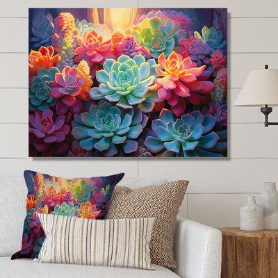 " Colourful Succulents Succulent Twilight "