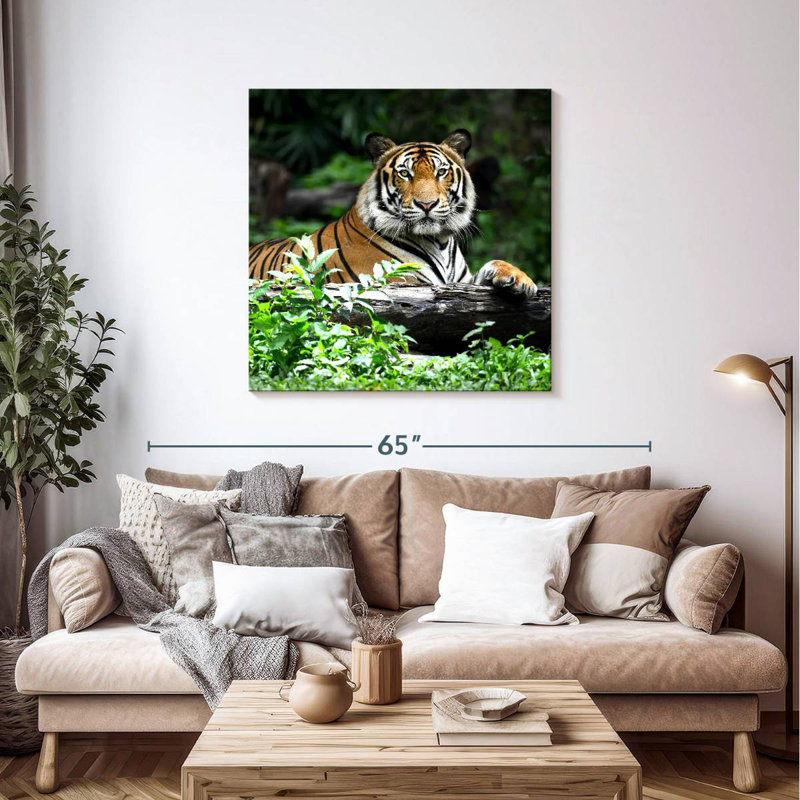 Brampt Resting Bengal Tiger, 39" H x 39" W