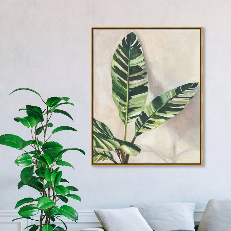 Jolies plantes I - Impression sur toile, H 46,5 po x l 37,5 po x P 1,2 po, Toile encadrée flottante dorée