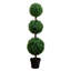 Topiaire de faux buis en pot-941996724