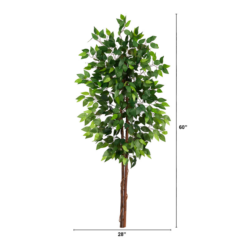 Amher 60'' Faux Ficus Tree