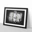 Silver Birch Tree Forest - Picture Frame Graphic Art Print-56876299-56876303