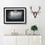 Sunlight over the Forest - Picture Frame Graphic Art Print-56876228-56876234