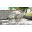 Vigil 4 - Person Patio Dining Set with Round Table-15973116