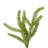 28" Green Norfolk Pine Wreath