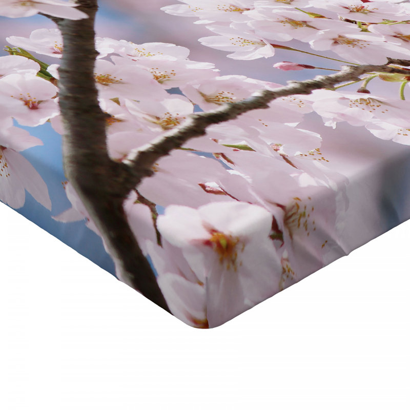 Microfiber Fitted Sheet, Twin Fitted Sheet