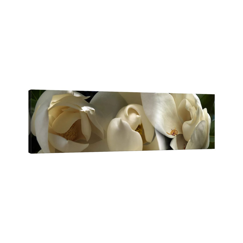 Magnolia Flowers #5 1 Piece Wrapped Canvas Panoramic Wall Art, 121.92 cm H x 40.64 cm W x 1.91 cm D
