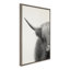 «Hey Dude Highland Cow Crop» par The Creative Bunch Studio, reproduction d'art sur toile encadrée-835261353-929312166