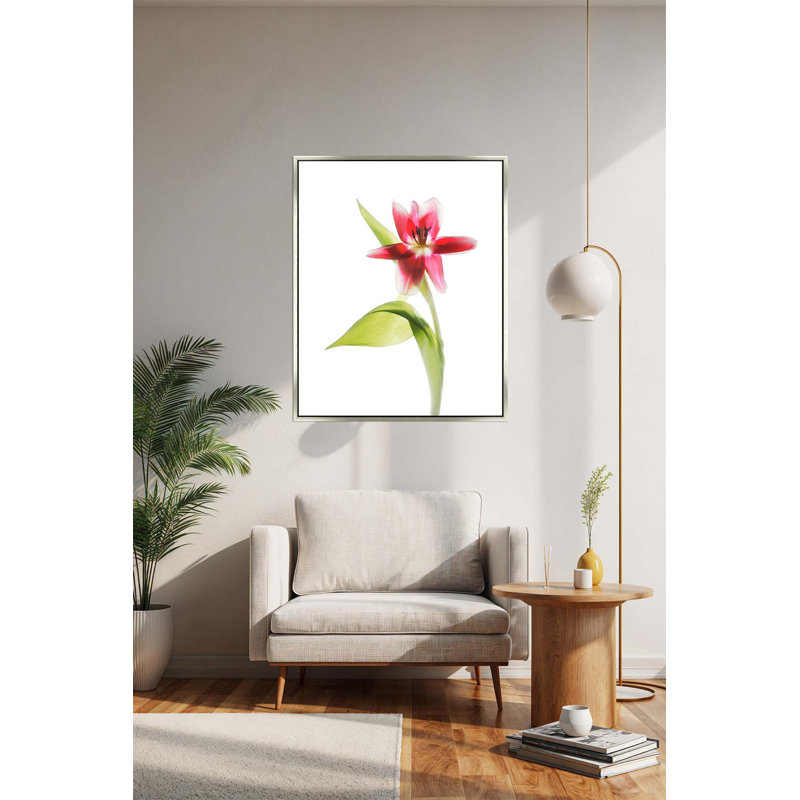 Red Tulips I - Framed, Large