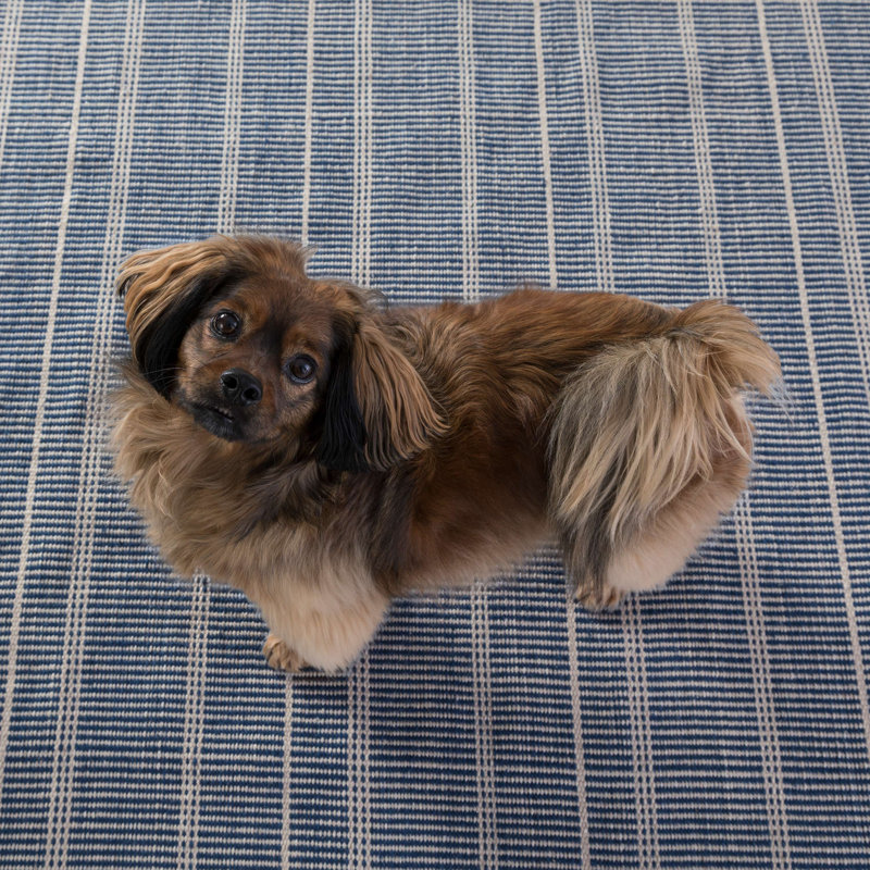 Samson Navy Handwoven Indoor/Outdoor Rug, Rectangle 3' x 5'