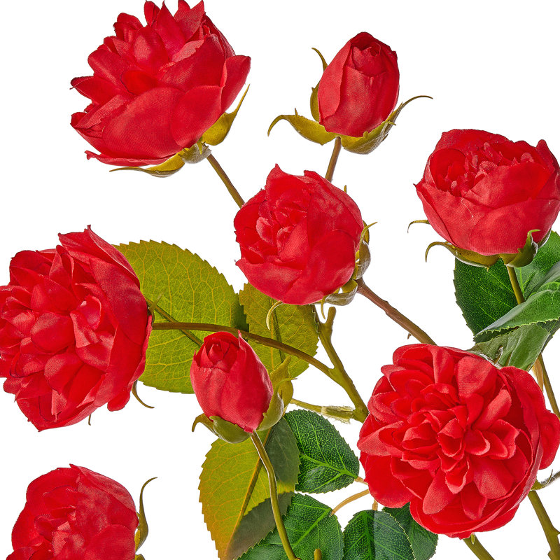 Tige de rose 25 po Ramblin , Rouge