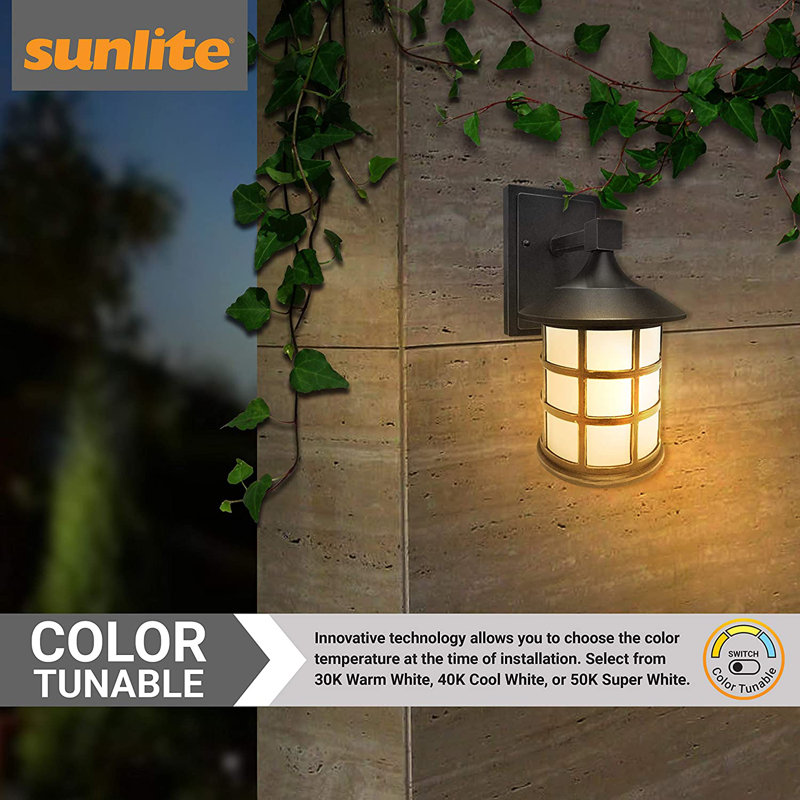 Foristell LED Wall Light
