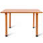 Table de pique-nique pliante pour l'extérieur