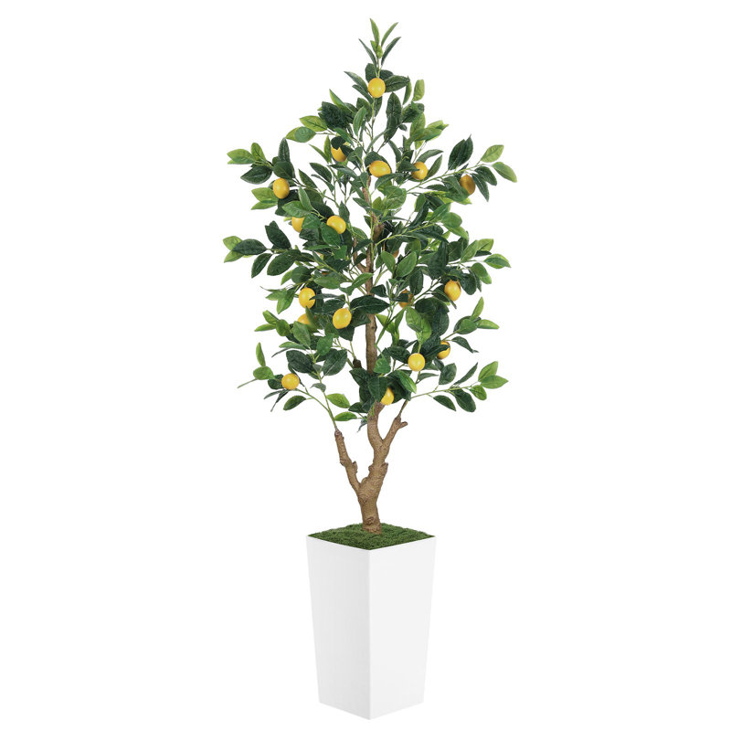 Faux citronnier de 5 pi en pot, plante artificielle réaliste pour la maison et le bureau, H 60 po x l 7 po 