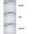 Raindance HG Select 120 Multi Function Handheld Shower Head-9780541-122428220