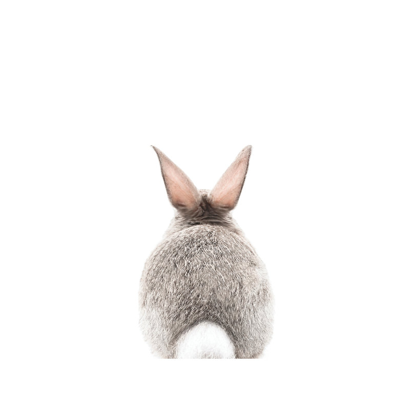 Bunny Tale - Wrapped Canvas Print, 66.04 cm H x 45.72 cm W x 3.175 cm D