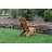 Handley Outdoor Adirondack Chair-1527878153