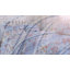 Ensemble de courtepointe pour grand lit 3 pièces Greenland Home Fashions Betty White, 90 x 90 po-1822770481