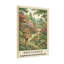 Paysage et nature, nid de jardin d'oiseaux parmi les fleurs-1646441930