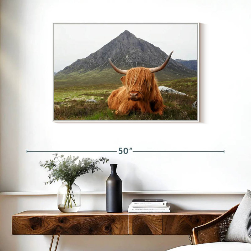 Highland Cow Serenity, Cadre flottant blanc, 37 po x 25 po